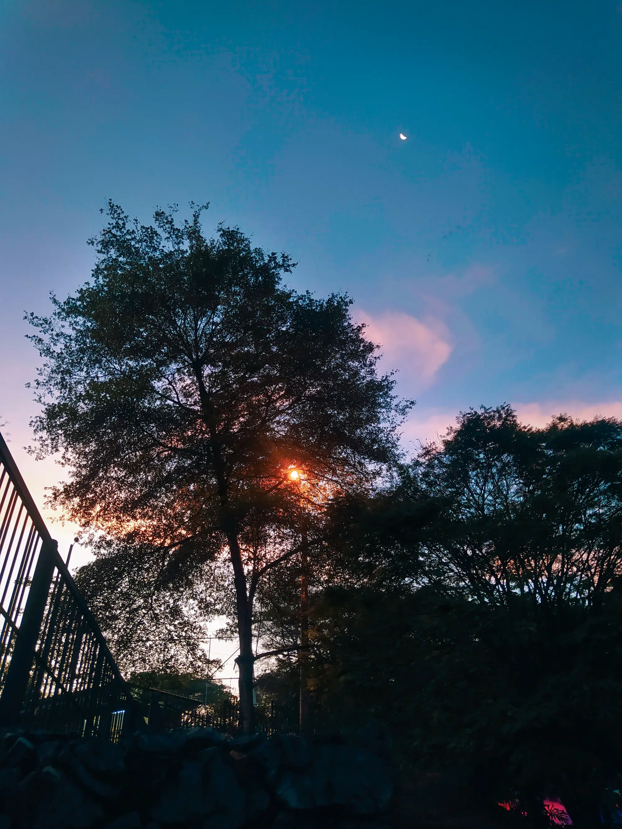 Paisaje nocturno con un cielo con nubes y tonos azulados